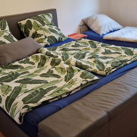 Ferienwohnung Zwischen Rhein Und Schwarzwald Bischweier 外观 照片