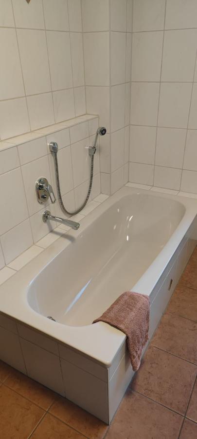 Ferienwohnung Zwischen Rhein Und Schwarzwald Bischweier 外观 照片